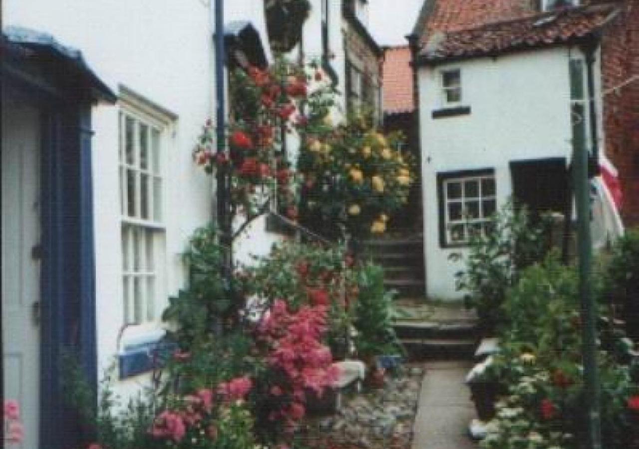 Alice Cottage 로빈후즈베이 외부 사진